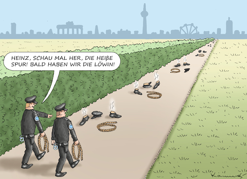 Cartoon: FREILAUFENDE LÖWIN IN BERLIN (medium) by marian kamensky tagged freilaufende,löwin,in,berlin,freilaufende,löwin,in,berlin