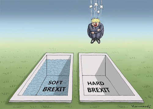 HARDLINER BORIS HARDLINER BORIS