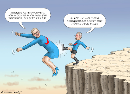 JUNGE ALTERNATIVE JUNGE ALTERNATIVE