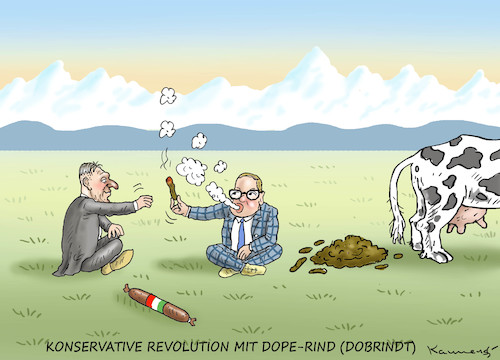 KONSERVATIVE REVOLUTION