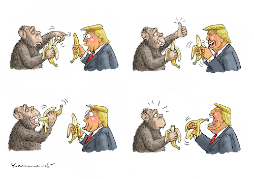 Cartoon: LERNUNFÄHIG (medium) by marian kamensky tagged musk,trump,zuckerberg,bezos,felon,and,elon,in,panama,zölle,diktator,selenskyj,putin,ukraine,usa,musk,trump,zuckerberg,bezos,felon,and,elon,in,panama,zölle,diktator,selenskyj,putin,ukraine,usa