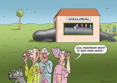 NEUE WAHLORDNUNG