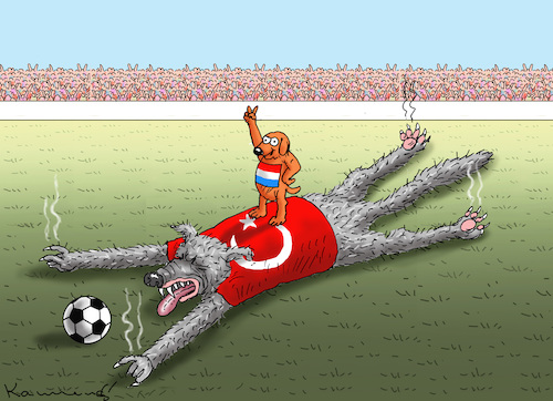 NIEDERLANDE VS WOLFSGRUß NIEDERLANDE VS WOLFSGRUß