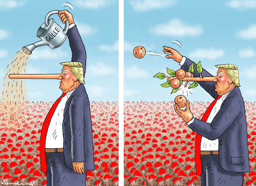 ORANGEN DES WAHNSINNS ORANGEN DES WAHNSINNS