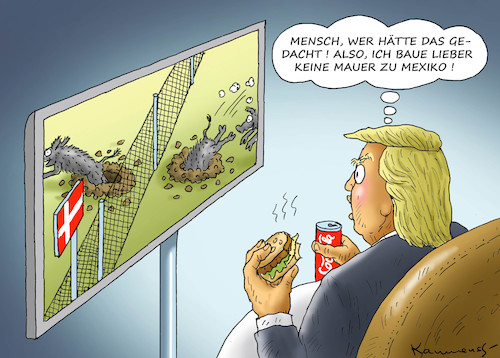 Cartoon: POSITIVE AUSWIRKUNG (medium) by marian kamensky tagged schweinegrenze,zu,deutschland,dänemark,schweinepest,eu,schweinegrenze,zu,deutschland,dänemark,schweinepest,eu