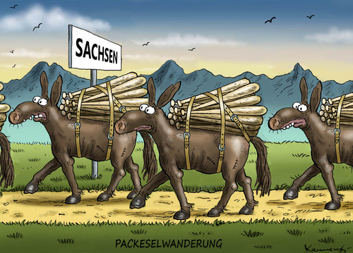 Cartoon: PACKESELWANDERUNG (medium) by marian kamensky tagged eu,flüchtlinge,asyl,politik,willkommenskultur,terrorismus,heidenau,horst,seehofer,bayern,eu,flüchtlinge,asyl,politik,willkommenskultur,terrorismus,heidenau,horst,seehofer,bayern