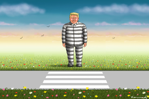 Cartoon: PROBLEMTRUMP (medium) by marian kamensky tagged amerikanische,verfassung,trump,amerikanische,verfassung,trump
