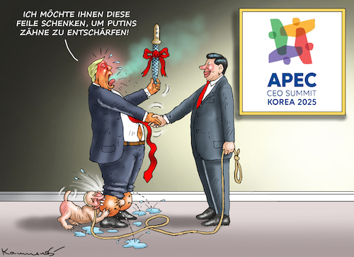 PUTINS ENTSCHÄRFUNG