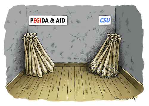 Cartoon: RECHTSÜBERHOLER CSU (medium) by marian kamensky tagged rechtsüberholer,csu,pegida,rechtsüberholer,csu,pegida