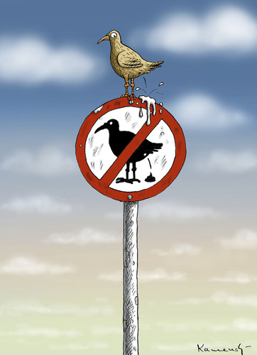 SCHEISSVOGELVERBOT SCHEISSVOGELVERBOT