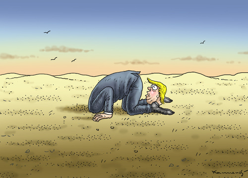 SCHÖNE POLITISCHE AUSSICHTEN SCHÖNE POLITISCHE AUSSICHTEN