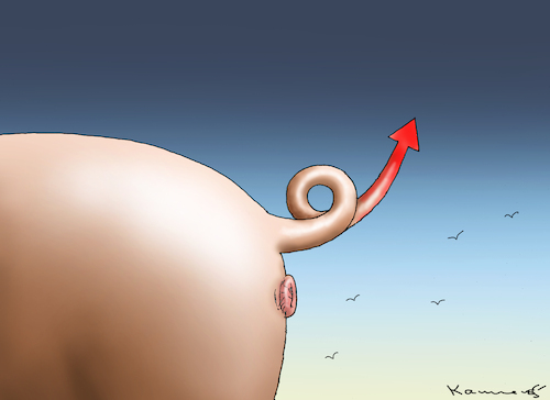 SCHWEINE FÜR DEUTSCHLAND SCHWEINE FÜR DEUTSCHLAND