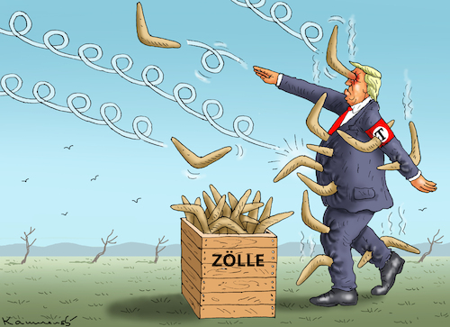 STABILER GENIE TRUMP STABILER GENIE TRUMP