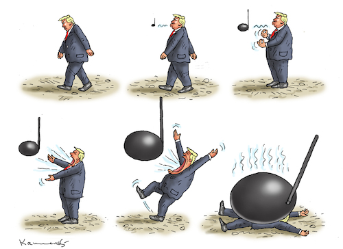 STABLE GENIUS STABLE GENIUS