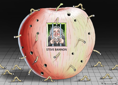 STEVE BANNON STEVE BANNON
