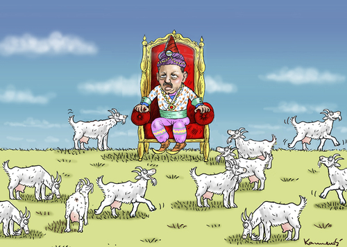 Cartoon: SULTAN UND SULTANIEN (medium) by marian kamensky tagged putsch,in,der,türkei,gescheitert,putsch,in,der,türkei,gescheitert