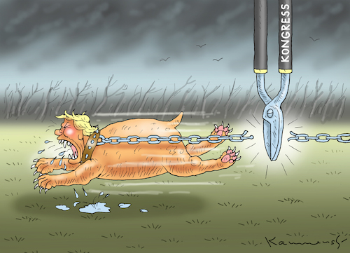 Cartoon: TRUMP FREIGESPROCHEN (medium) by marian kamensky tagged selenskyj,ukraine,rüstungsgeld,trump,wahllampfhilfe,joe,biden,amtsenthebungsverfahren,impeachment,john,bolton,selenskyj,ukraine,rüstungsgeld,trump,wahllampfhilfe,joe,biden,amtsenthebungsverfahren,impeachment,john,bolton