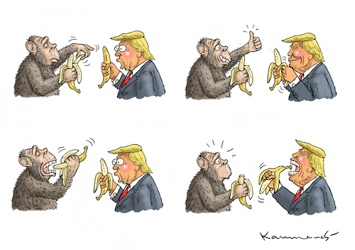 Cartoon: TRUMP LERNT BANANEN ESSEN (medium) by marian kamensky tagged obama,trump,präsidentenwahlen,usa,baba,vanga,republikaner,inauguration,demokraten,wikileaks,faschismus,jamal,khashoggi,obama,trump,präsidentenwahlen,usa,baba,vanga,republikaner,inauguration,demokraten,wikileaks,faschismus,jamal,khashoggi