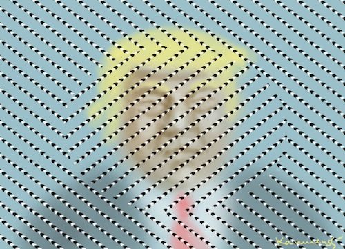 TRUMP PORTRAIT TRUMP PORTRAIT