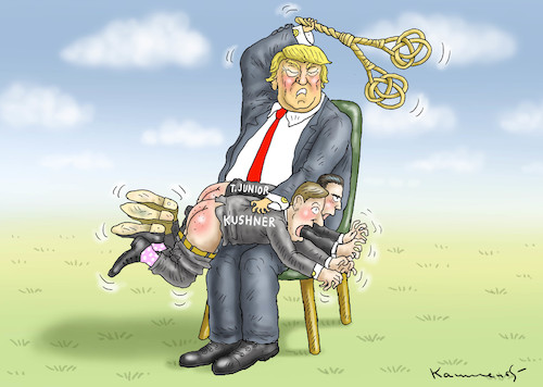 TRUMP STEREO TRUMP STEREO