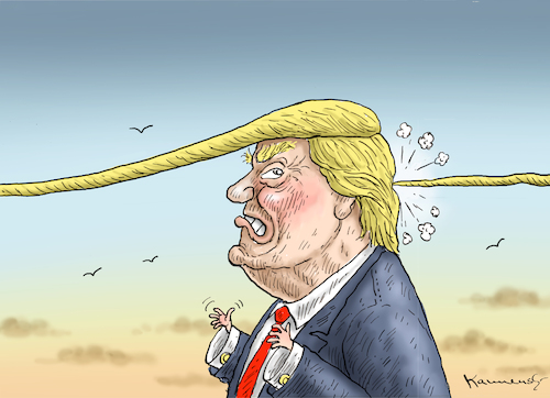 Cartoon: TRUMPFRISUR (medium) by marian kamensky tagged terroranschlag,in,berlin,afd,is,weihnachten,anis,amri,terroranschlag,in,berlin,afd,is,weihnachten,anis,amri