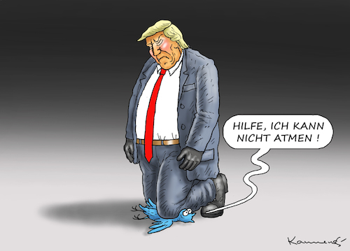 TRUMPS TWITTER KNIE