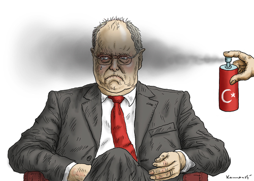 Warum Steinbrück weinte Warum Steinbrück weinte