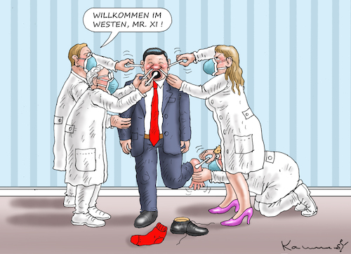 WESTLICHE TESTWUT WESTLICHE TESTWUT