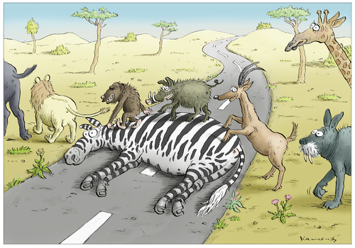 Zebrastreifen Zebrastreifen