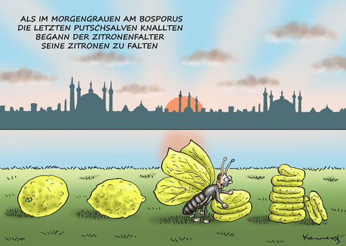 ZITRONENFALTER ERDI ZITRONENFALTER ERDI