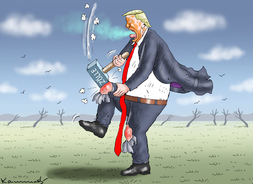 Cartoon: ZOLLHAMMER (medium) by marian kamensky tagged musk,trump,zuckerberg,bezos,felon,and,elon,in,panama,zölle,diktator,selenskyj,putin,ukraine,usa,musk,trump,zuckerberg,bezos,felon,and,elon,in,panama,zölle,diktator,selenskyj,putin,ukraine,usa