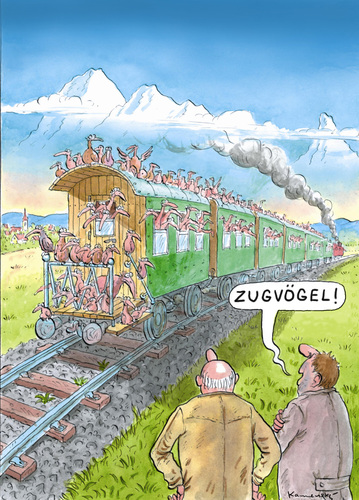 Cartoon: Zugvögel (medium) by marian kamensky tagged humor,zugvögel,vogel,vögel,zug,bahn,wortspiel,tier,tiere