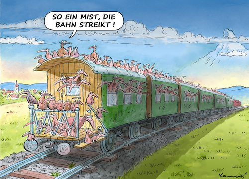 ZUGVÖGEL UND DER BAHNSTREIK By marian kamensky | Business ...