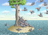 Cartoon: EPSTEIN-INSEL (small) by marian kamensky tagged epstein,insel,trump