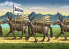 Cartoon: PACKESELWANDERUNG (small) by marian kamensky tagged eu,flüchtlinge,asyl,politik,willkommenskultur,terrorismus,heidenau,horst,seehofer,bayern