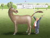 Cartoon: SUPER-BOWLER TRUMP (small) by marian kamensky tagged brexit,theresa,may,england,eu,schottland,weicher,wahlen,boris,johnson,nigel,farage,ostern,seidenstrasse,xi,jinping,referendum,trump,monsanto,bayer,glyphosa,strafzölle,coronavirus