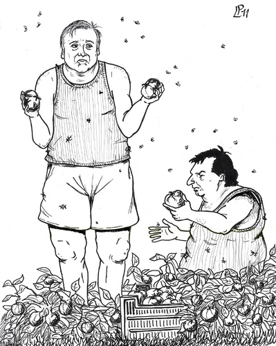 Cartoon: i Precari che vorrei (medium) by paolo lombardi tagged italy,brunetta,sacconi,politics