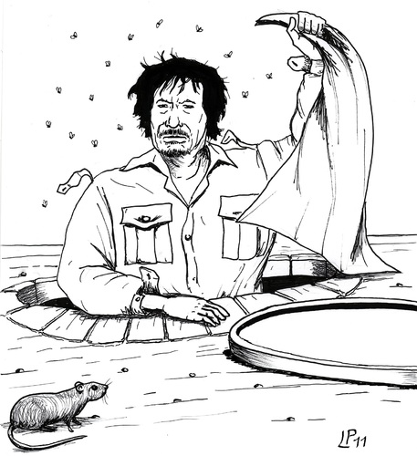 Cartoon: the Rat (medium) by paolo lombardi tagged libya,gaddafi,war,krieg,peace