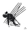 Cartoon: Pencils around the world (small) by paolo lombardi tagged charlie,terrotism