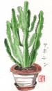 Cartoon: konbu (small) by etsuko tagged cactus