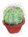 Cartoon: Saboten (small) by etsuko tagged cactus