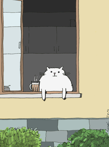 Cappuccino Cat Cappuccino Cat