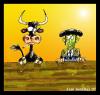 Cartoon: TARDE DE TOROS (small) by PEPE GONZALEZ tagged spain,toros,torero,fiesta,nacional,tauromaquia