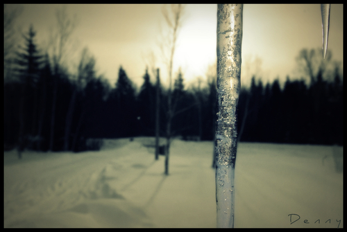 Cartoon: Another Icicle shot (medium) by Krinisty tagged winter,ice,icicle,photography,krinisty,snow,cold,freezing,frozen,water