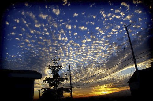 Cartoon: clouds! (medium) by Krinisty tagged clouds,sky,blue,sunset,house,scene,scenic,yellow,happy