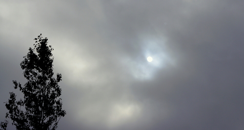 Cartoon: Cloudy Day (medium) by Krinisty tagged clouds,sky,sun,tree,scenery,krinisty,art,photography