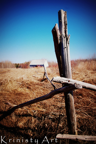 Cartoon: Coming home (medium) by Krinisty tagged house,old,road,fence,rustic,yard,grass,trees,movie,pitt,pony