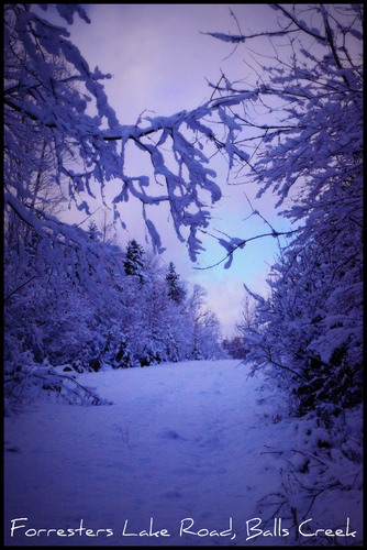 Cartoon: The Lake Rd In Janurary (medium) by Krinisty tagged snow,january,cold,hike,lake,road