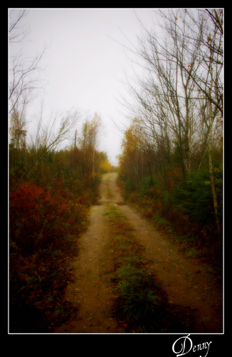 Cartoon: The Lake Road 5 (medium) by Krinisty tagged trees,road,dirt,happy,lake,fall,scenery,beautiful,krinisty,art,photography