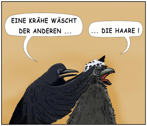 Cartoon: binomische Sprichworte (medium) by SoRei tagged eine,krähe,hackt,der,anderen,kein,auge,aus,hand,wäscht,die,andere,rabe,krähenvogel,korkkrähe,rabenvogel,elster,haarewaschen,redensart,sprichwort,eine,krähe,hackt,der,anderen,kein,auge,aus,hand,wäscht,die,andere,rabe,krähenvogel,korkkrähe,rabenvogel,elster,haarewaschen,redensart,sprichwort